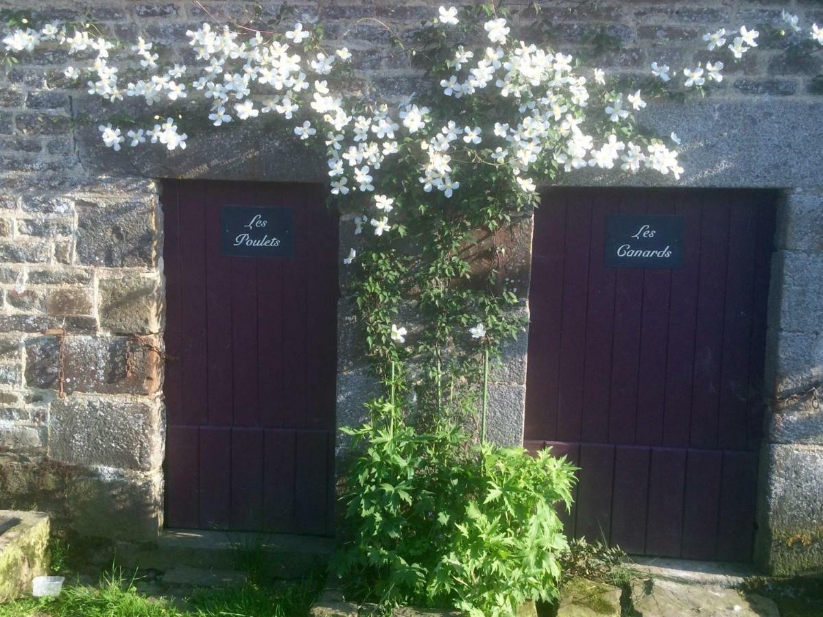 La Crepelliere Bed & Breakfast Villedieu-les-Poëles Exterior foto